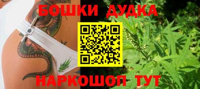 дживик Будённовск