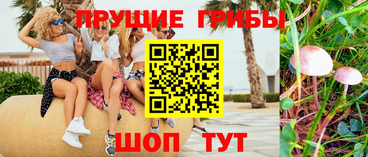 Можайск  Псилоцибиновые грибы мицелий  Вход с VPN 